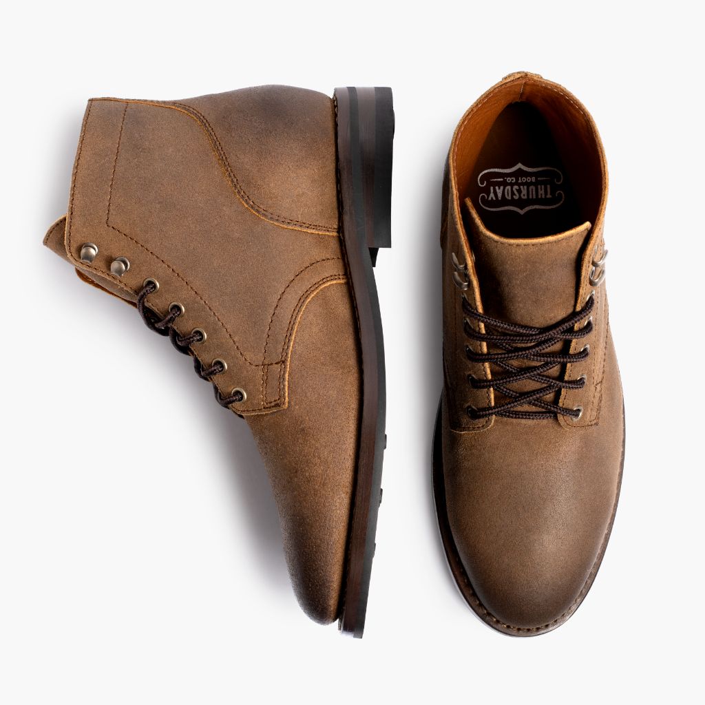 President | Safari - Image 3